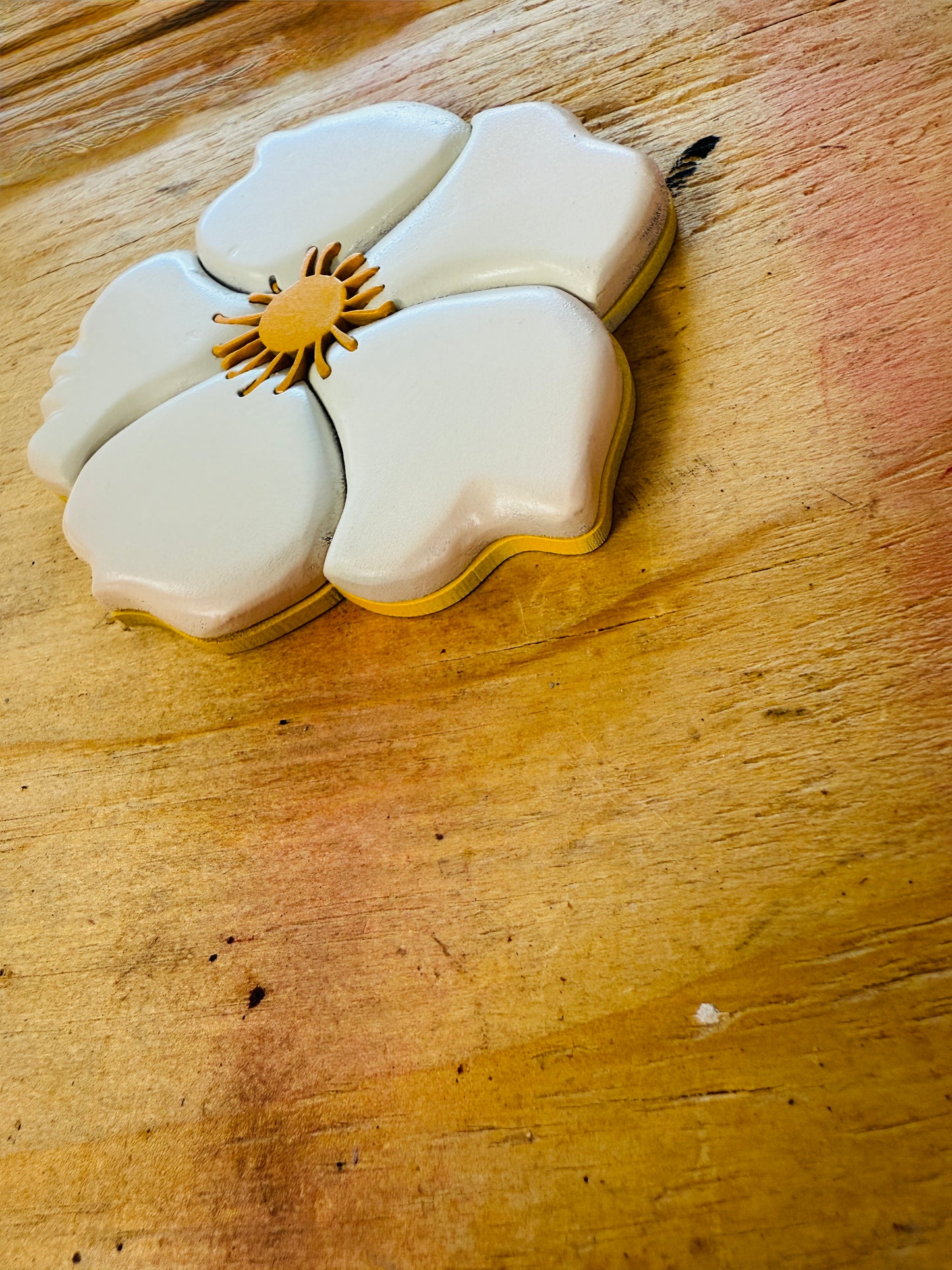 Cherokee Rose Magnet